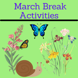 March Break Activities. Links to Kid's page. 
